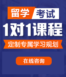 用力点使劲插我骚屄视频用力留学考试一对一精品课